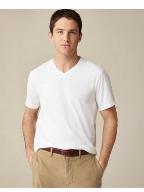 J.Crew Broken-in V-neck T-shirt